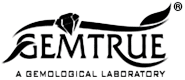 GEMT Logo