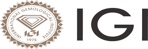 IGI Logo