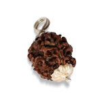 3 Mukhi Rudraksha