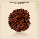 4 Mukhi Rudraksha