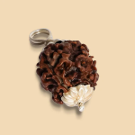 4 Mukhi Rudraksha