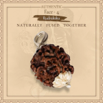 4 Mukhi Rudraksha