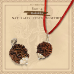 4 Mukhi Rudraksha