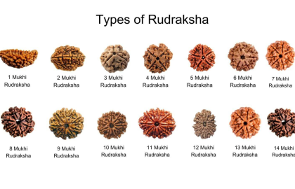 What is Rudraksha? Complete Guide to Types, Benefits & Price List (1 Mukhi to 21 Mukhi)