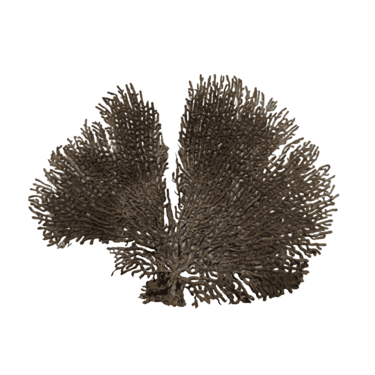 WhatsApp-Image-2024-01-18-at-12.36.34-PhotoRoom.png-PhotoRoom-768x768