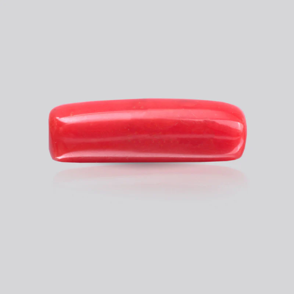 Moonga-Red Coral stone (5 Ratti)