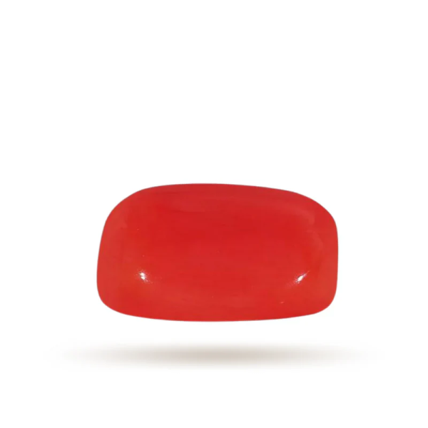 Moonga-Red Coral stone (6 Ratti)