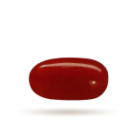 Moonga-Red Coral stone Luxury (7 Ratti)