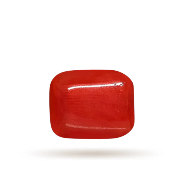 Moonga-Red Coral stone Luxury (8 Ratti)