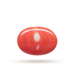 Moonga-Red Coral stone Premium (6 Ratti)