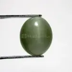 Natural Cat’s Eye - Lehsuniya -5.25 Carat