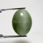 Natural Cat’s Eye - Lehsuniya -6.63 Carat