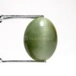 Natural Cat’s Eye - Lehsuniya -7.04 Carat