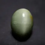 Natural Cat’s Eye - Lehsuniya -7.04 Carat