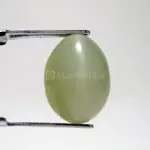 Natural Cat’s Eye - Lehsuniya -7.32 Carat