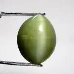 Natural Cat’s Eye - Lehsuniya Ratna -8.24 Carat