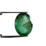 Natural Emerald (Panna) - 2.88 Carat