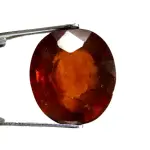 Natural Hessonite Garnet - 10.28 Carat