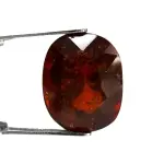 Natural Hessonite Garnet - 10.74 Carat