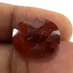 Natural Hessonite Garnet - 13.38 Carat