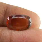 Natural Hessonite Garnet - 4.35 Carat
