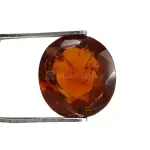 Natural Hessonite Garnet - 4.66 Carat