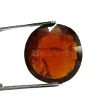 Natural Hessonite Garnet - 5.58 Carat