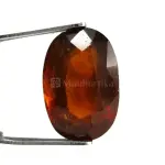 Natural Hessonite Garnet - 6.58 Carat