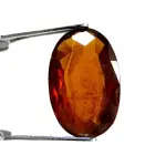 Natural Hessonite Garnet - 6.65 Carat