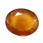 Hessonite Garnet - 6.76 Carat