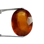 Natural Hessonite Garnet - 7.17 Carat