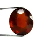 Natural Hessonite Garnet - 7.80 Carat