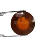 Natural Hessonite Garnet - 8.31 Carat
