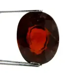Natural Hessonite Garnet - 8.49 Carat