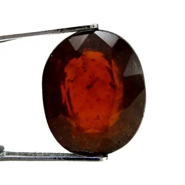 Natural Hessonite Garnet - 8.84 Carat