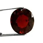Natural Hessonite Garnet - 8.96 Carat