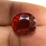 Natural Hessonite Garnet - 9.26 Carat