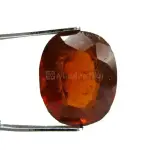 Natural Hessonite Garnet - 9.59 Carat