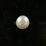 Pearl - Moti Ratna 13.65 Carat