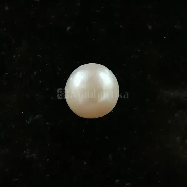 Pearl - Moti Ratna 13.65 Carat
