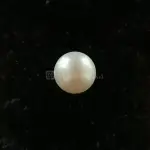 Pearl - Moti Ratna -4.25 Carat