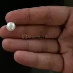 Pearl - Moti Ratna -4.25 Carat