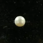 Pearl - Moti Ratna 4 Carat