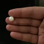 Pearl - Moti Ratna -5.49 Carat