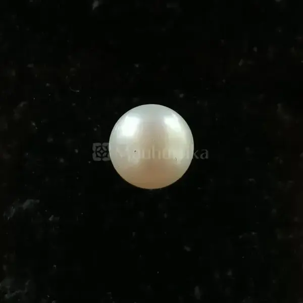 Pearl – Moti Ratna -6 Carat
