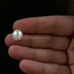 Pearl - Moti Ratna -8.49 Carat