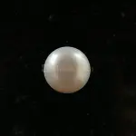 Pearl – Moti Ratna -9.52 Carat