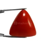 Natural Red Coral (Moonga) -11.52 Carat