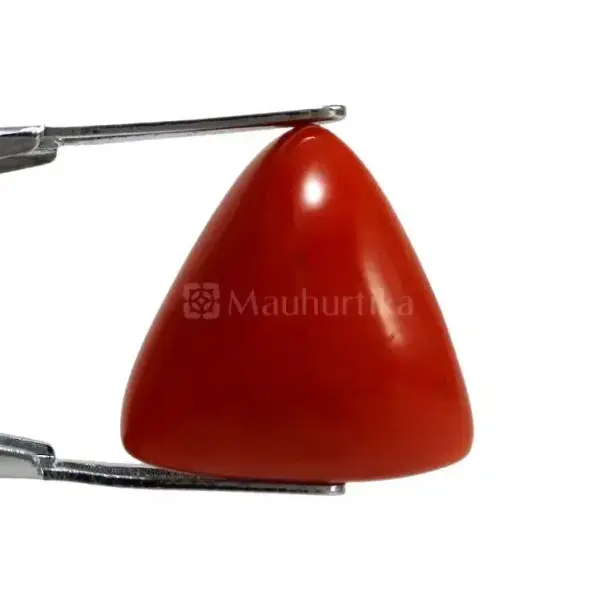 Natural Red Coral (Moonga) -11.52 Carat