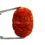 Natural Red Coral (Moonga) - 3.93 Carat